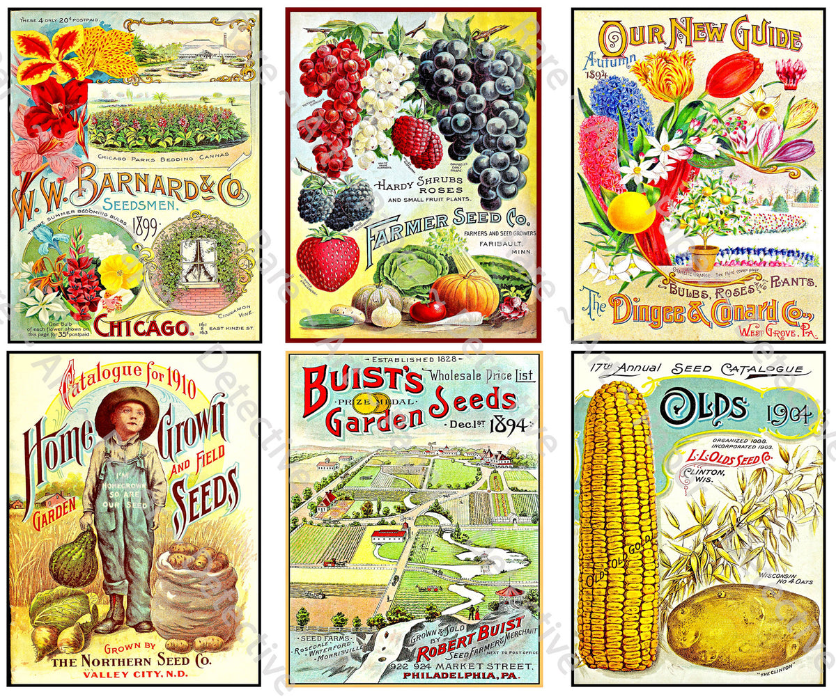 New-Full-Sheet-1287_1200x1200.