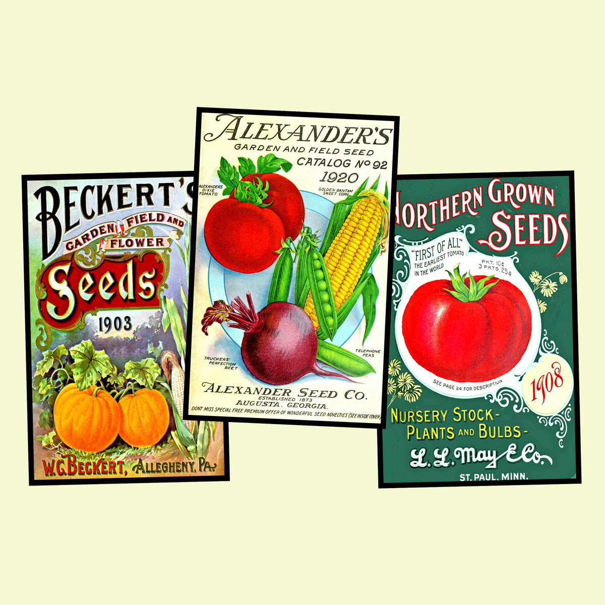 flower and vegetable seed packets Garden Seed Packet Postcard Sticker Illustrations Gift for Her Vintage –  Rare Paper Detective