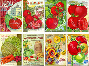 Garden Journal Sticker Sheet, Seed Pack Catalog Illustrations, Garden Decoration & Kitchen Collage, #859