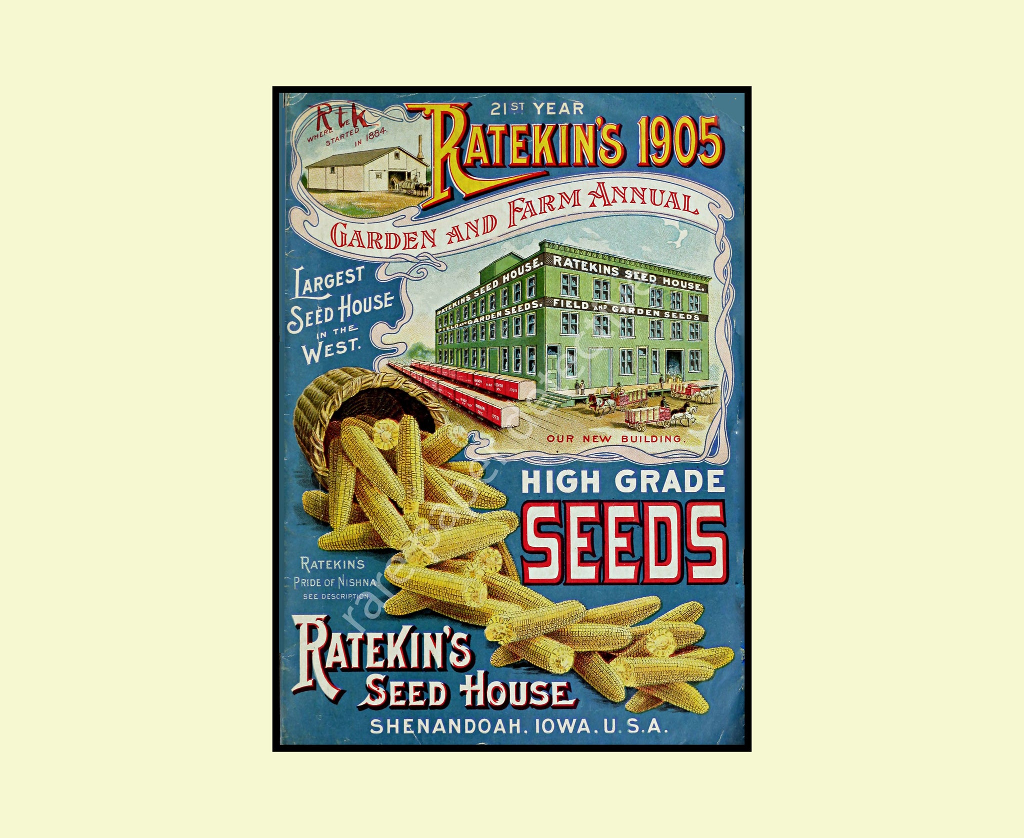 Garden Seed Catalog Print, 5" x 7", 1905 Wall Art Hanging, Garden Shed, Green House, Patio Decor, Home Decoration, Antique Seed Packet, 18-88