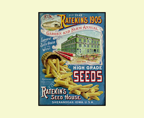 Garden Seed Catalog Print, 5" x 7", 1905 Wall Art Hanging, Garden Shed, Green House, Patio Decor, Home Decoration, Antique Seed Packet, 18-88