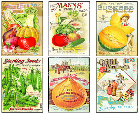 Garden Seed Packet Stickers for Making Gardener's Gifts, Greeting Cards and Country Kitchen Collages, 1 DIY Craft Sheet, 1284