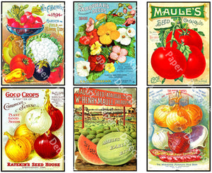 Garden Vegetables Greeting Card on Plantable Paper