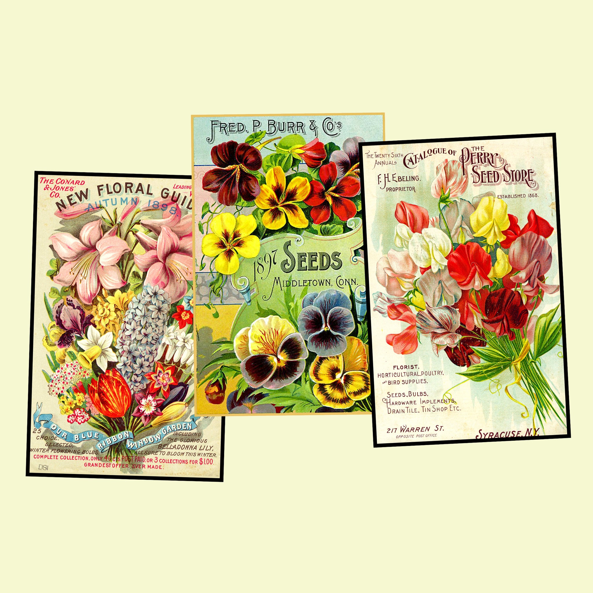flower seed postcards Garden Seed Packet Postcard Sticker Illustrations Gift for Her Vintage Style Gardening Images for DIY Postcards, 3.5" x 5.5" each, Set 58