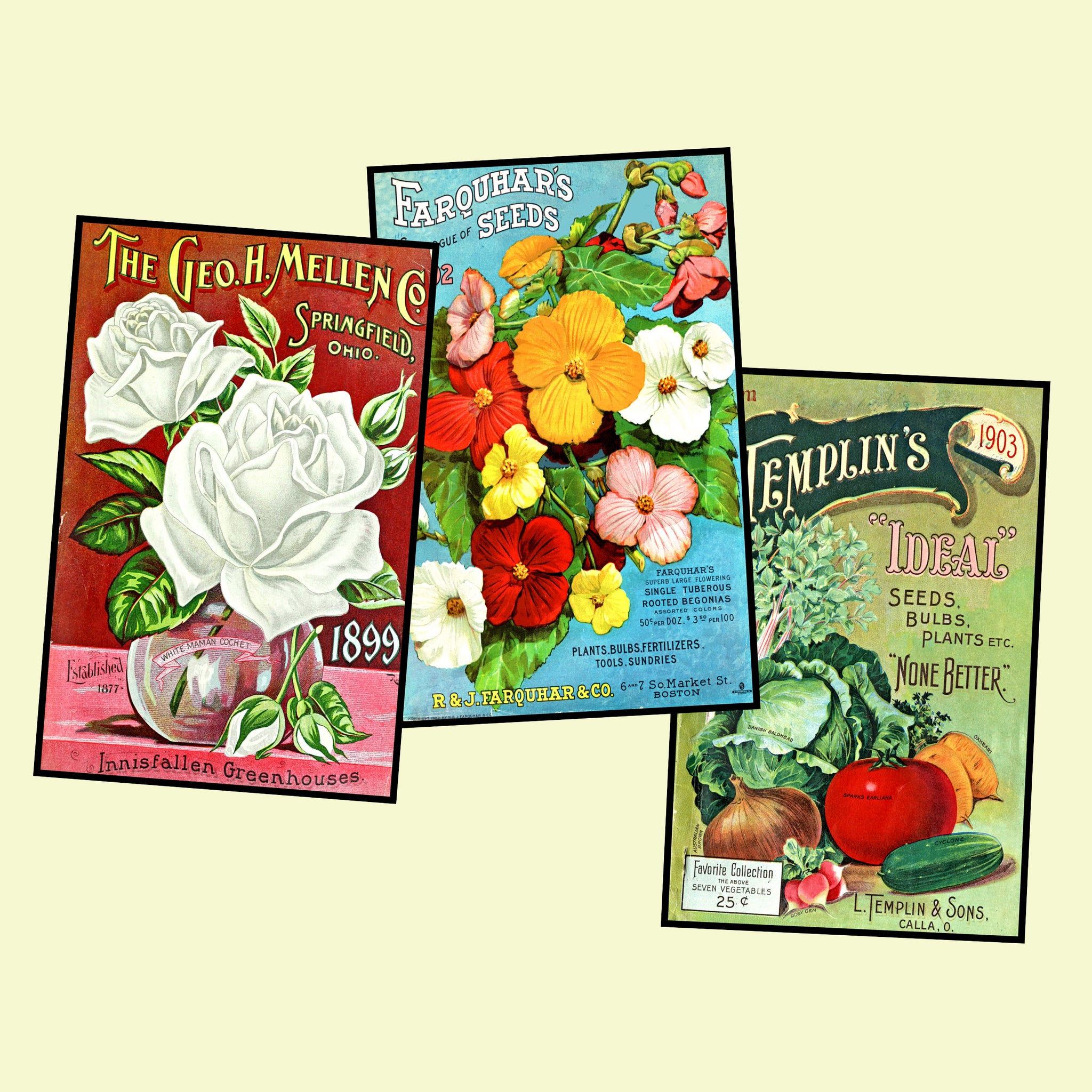 flower seed postcards Garden Seed Packet Postcard Sticker Illustrations Gift for Her Vintage Style Gardening Images for DIY Postcards, 3.5" x 5.5" each, Set 59