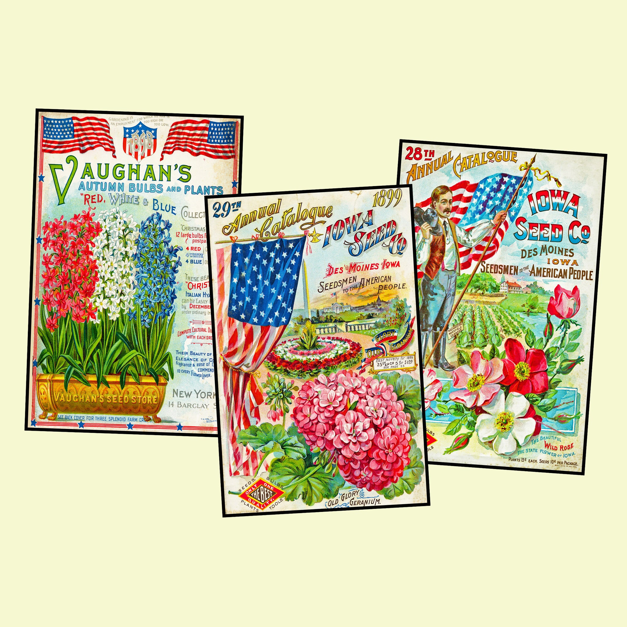 flower seed postcards Garden Seed Packet Postcard Sticker Illustrations Gift for Her Vintage – Rare Paper Detective