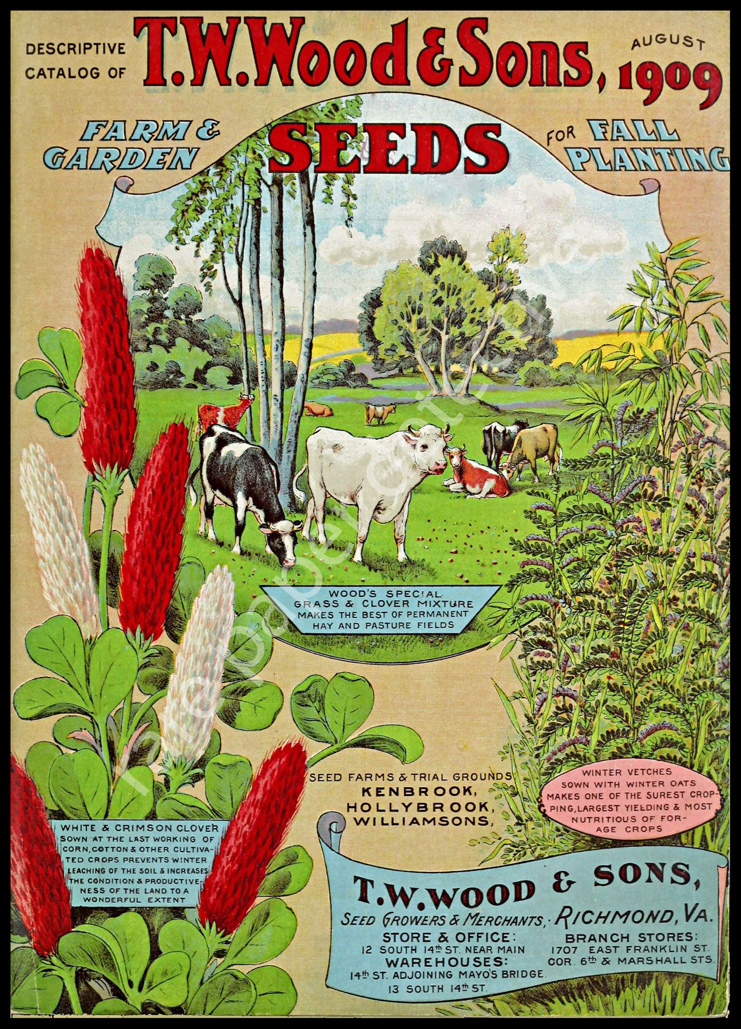 garden and seed catalogs Garden Seed Catalog Print, 5" x 7", 1909 Wall Art Hanging, Garden Shed – Rare Paper Detective