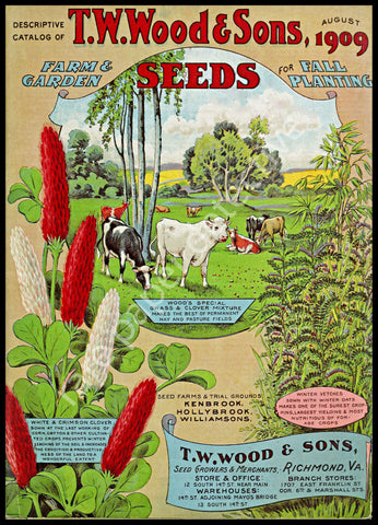Garden Seed Catalog Print, 5" x 7", 1909 Wall Art Hanging, Garden Shed, Green House, Patio Decor, Home Decoration, Antique Seed Packet, 18-70