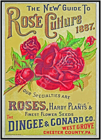 Garden Seed Catalog Print, 5" x 7", 1887 Wall Art Hanging, Garden Shed, Green House, Patio Decor, Home Decoration, Antique Seed Packet, 18-74
