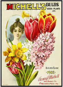 Garden Seed Packet & Catalog Accent Print, 5" x 7", Cottage Garden & Kitchen Decor, 18-88