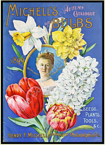 Gardening Decoration & Seed Catalog Accent Print, 5" x 7", Country Garden & Kitchen Decor, 19-23