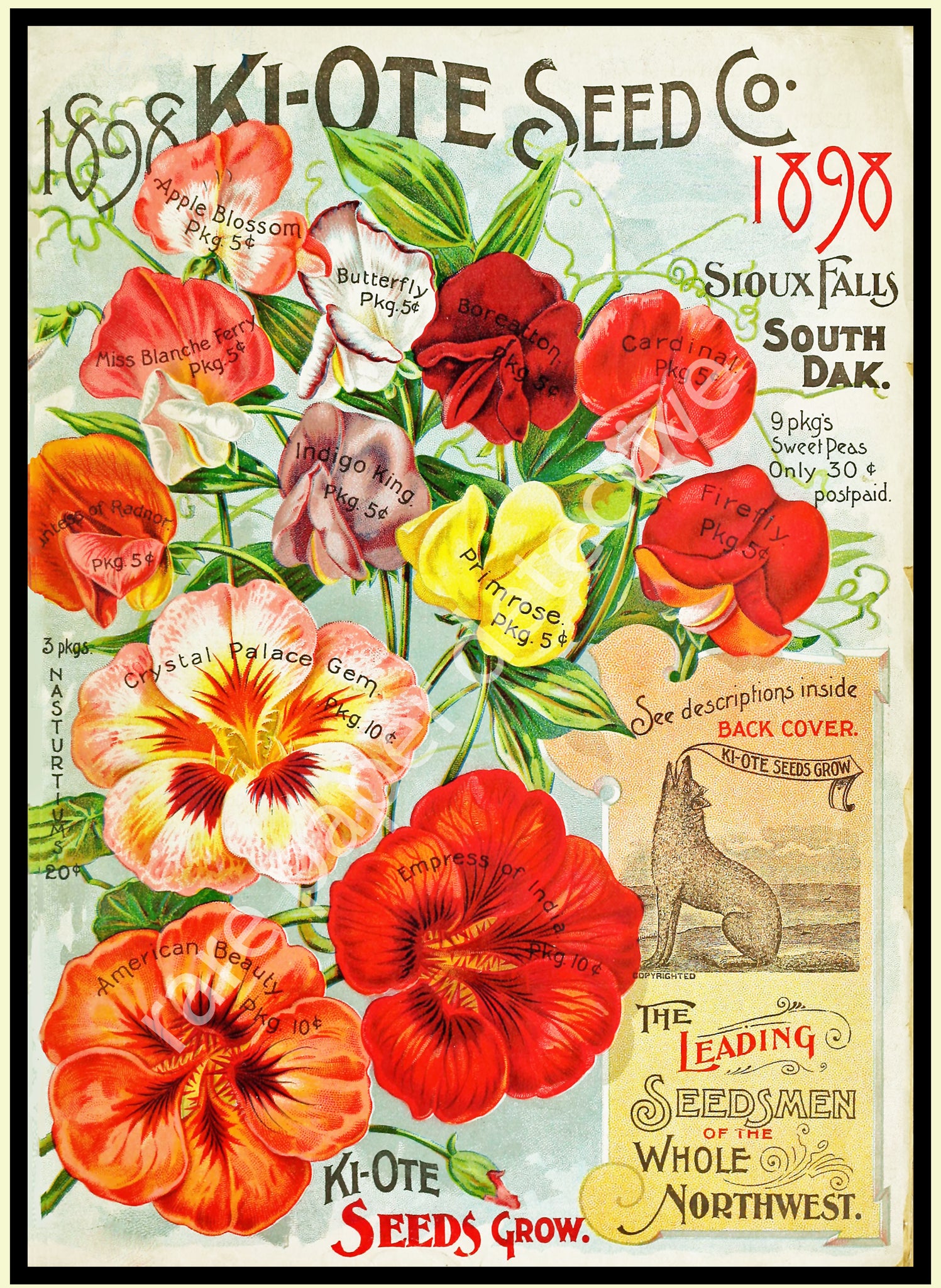 Gardening Decoration & Seed Catalog Accent Print, 5" x 7", Country Garden & Kitchen Decor, 19-25
