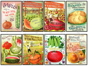 Garden Décor Sticker Sheet, Seed Packet Catalog Illustrations, Garden Decoration & Kitchen Collage, 1045