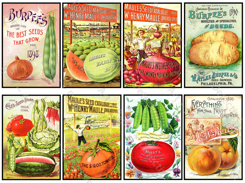 Seed Packet, Botanical &amp; Garden Journal Stickers