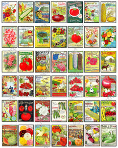 Dollhouse Garden Illustrations, Cut & Peel Sticker Sheet, 42 Multi Scale Hobby Images for Dioramas and Model Railroads , 1103