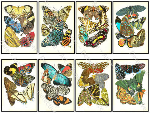 Antique Butterfly Illustration Stickers, 3.75" Tall Decals for Home Décor Projects, Gardening Journals or Gifts, Cut & Peel Sheet, 1142