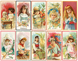 rare label cards Fruit Label Stickers, Antique Trade Card Advertising Cards featuring F – Rare Paper Detective