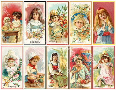 Fruit Label Stickers, Antique Trade Card Advertising Cards featuring Fruit Illustrations, Antique Ephemera, 4" Stickers on 1 Sheet, 1199