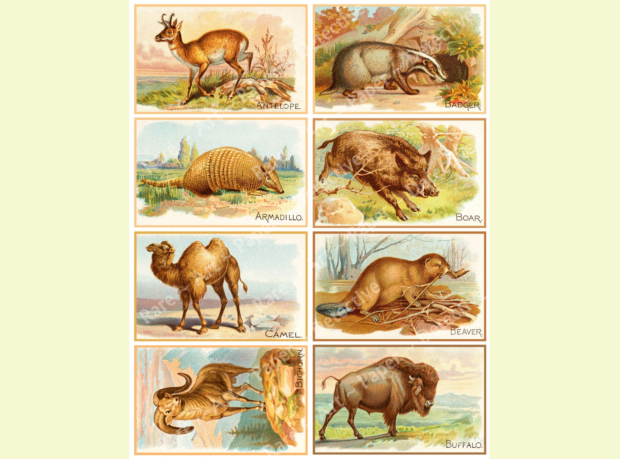 Animal Illustrations, Home Décor Projects, Bookmarks or Gift Making, Animal Trade Card Advertising Drawings, 4" Stickers on 1 Sheet, 1200