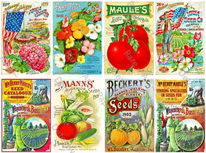 Garden Journal Sticker Sheet, Seed Pack Catalog Illustrations, Garden Decoration & Kitchen Collage, #914
